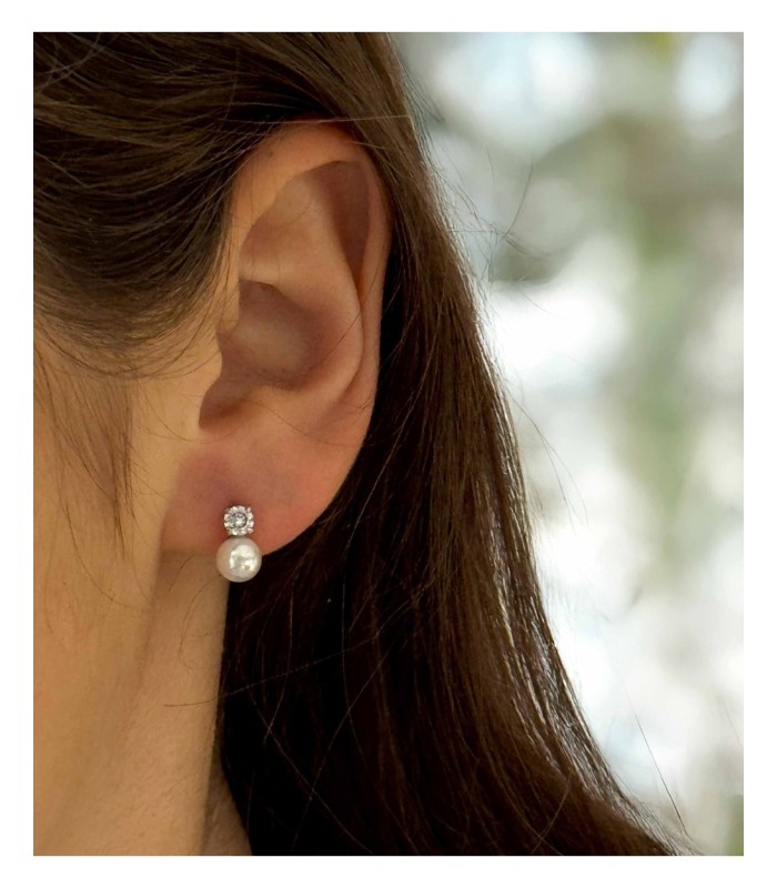 Boucles d'oreilles puces - Acier inoxydable 316L