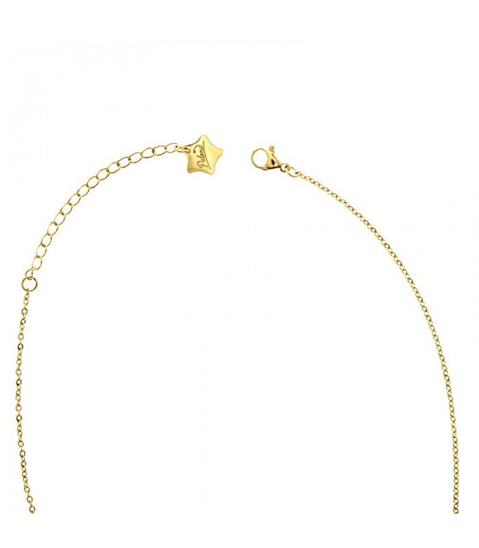Collier acier 316L - Trèfle